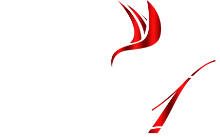 Choisie1-logo